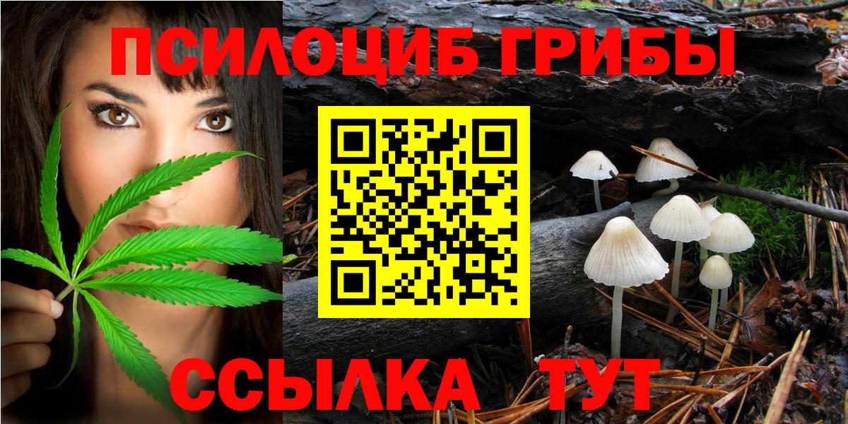 Псилоцибиновые грибы Psilocybe Грозный