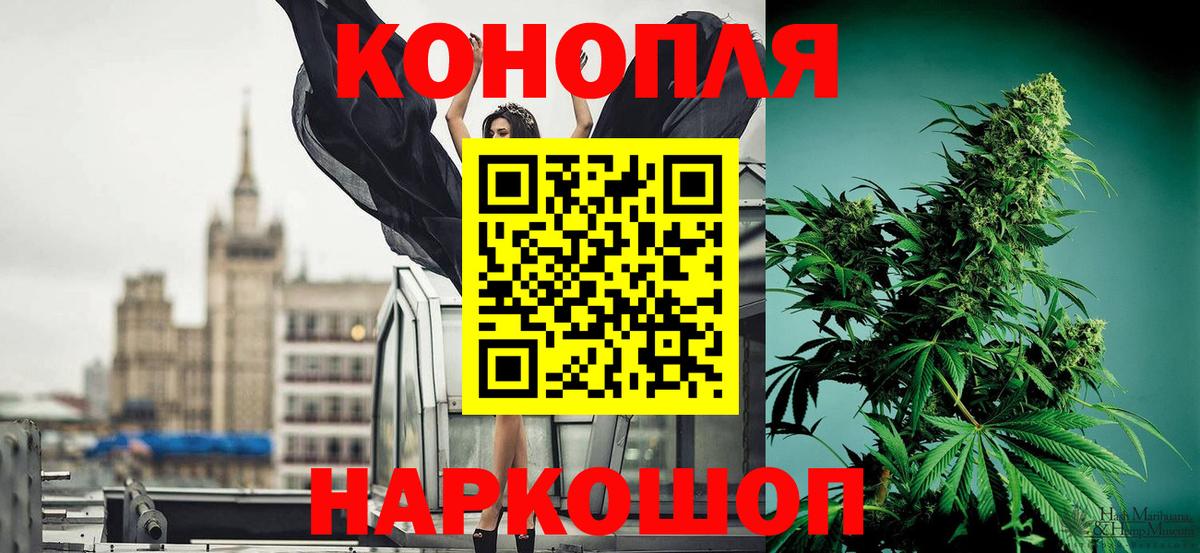 Канабис Ganja Грозный